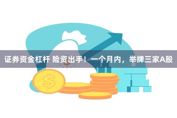 证券资金杠杆 险资出手！一个月内，举牌三家A股