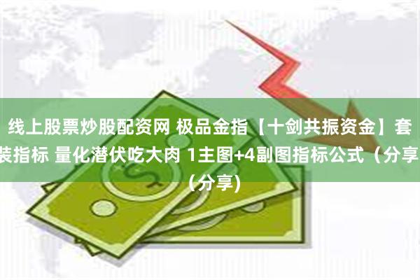 线上股票炒股配资网 极品金指【十剑共振资金】套装指标 量化潜伏吃大肉 1主图+4副图指标公式（分享)