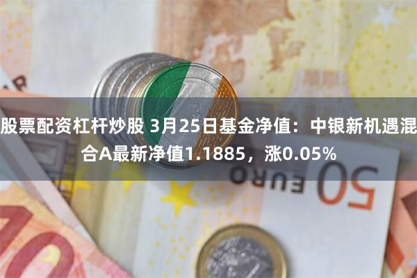 股票配资杠杆炒股 3月25日基金净值：中银新机遇混合A最新净值1.1885，涨0.05%