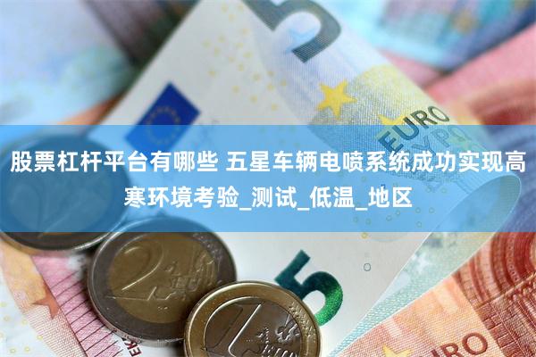 股票杠杆平台有哪些 五星车辆电喷系统成功实现高寒环境考验_测试_低温_地区