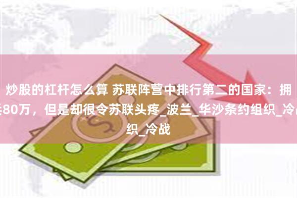 炒股的杠杆怎么算 苏联阵营中排行第二的国家：拥兵80万，但是却很令苏联头疼_波兰_华沙条约组织_冷战