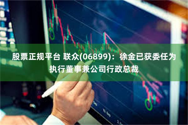 股票正规平台 联众(06899)：徐金已获委任为执行董事兼公司行政总裁