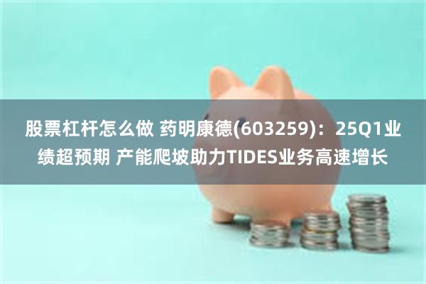 股票杠杆怎么做 药明康德(603259)：25Q1业绩超预期 产能爬坡助力TIDES业务高速增长