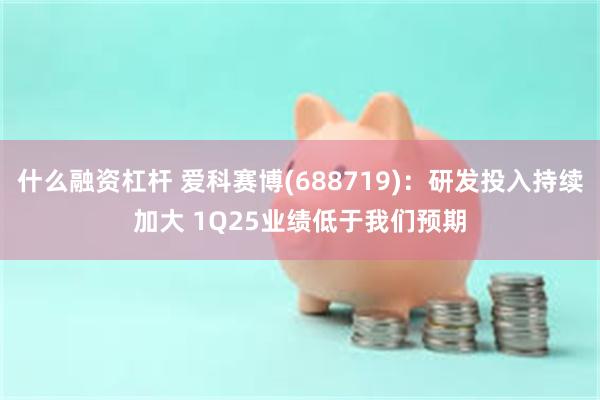 什么融资杠杆 爱科赛博(688719)：研发投入持续加大 1Q25业绩低于我们预期