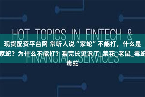 现货配资平台网 常听人说“家蛇”不能打，什么是家蛇？为什么不能打？看完长见识了_菜花_老鼠_毒蛇