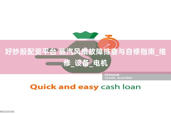 好炒股配资平台 蒸汽风扇故障排查与自修指南_维修_设备_电机