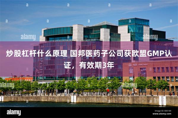 炒股杠杆什么原理 国邦医药子公司获欧盟GMP认证，有效期3年